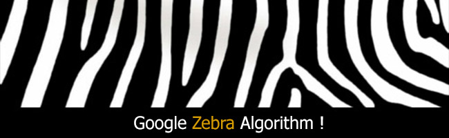 zebra algorithm الگوریتم گورخر گوگل