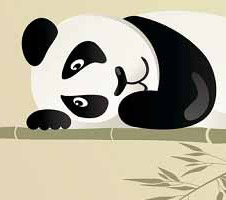 panda updates خانه